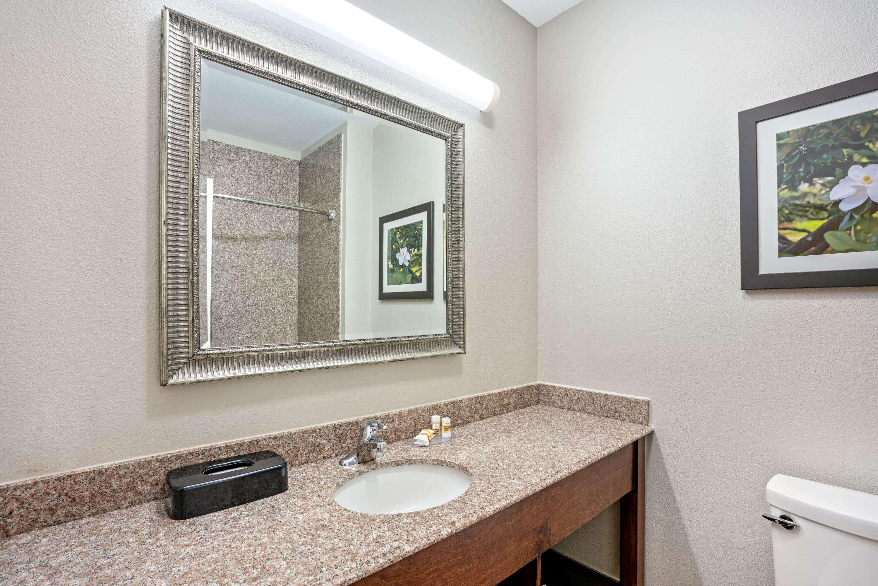 La Quinta By Wyndham Houston - Magnolia Hotel Eksteriør billede